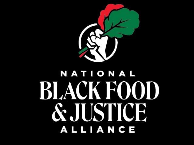 NBFJA primary logo in white. Includes icon and organization title.